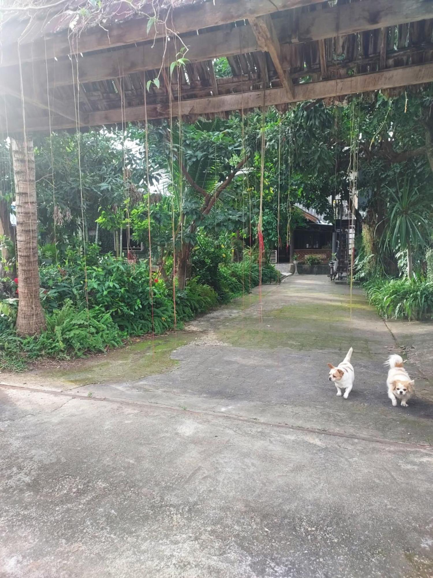 Kwanlah Homestay Mae Chaem Esterno foto